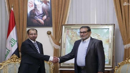 ایران کی قومی سلامتی کونسل کے سیکریٹری سے عراقی پارلیمنٹ کے اسپیکر کی ملاقات