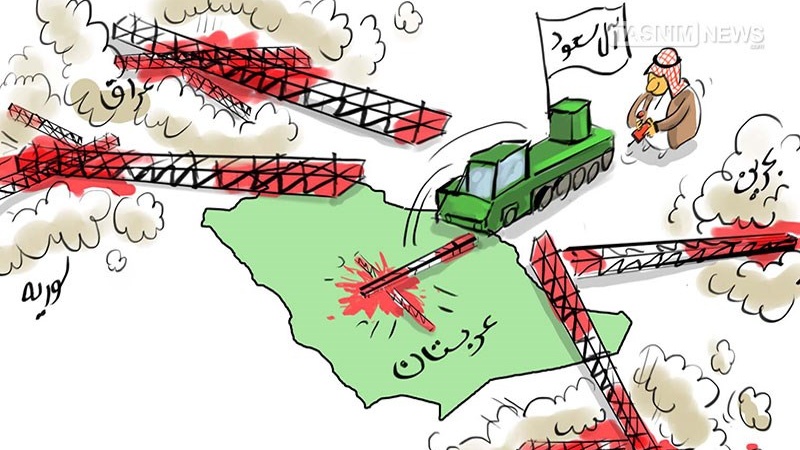 Kran koji pao, krani koji padaju!