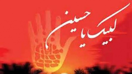 نوحہ - ہم ناصر حسین ع لبیک یا حسین ع