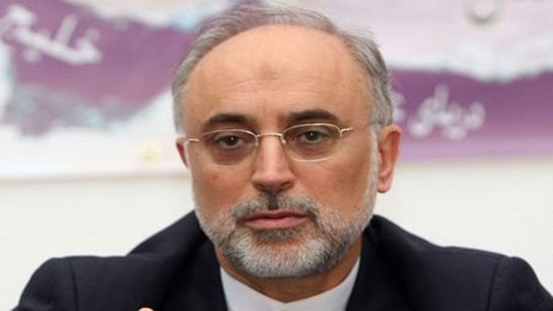 Salehi: Iran poštuje svoje obaveze do istovremenog ukidanja sankcija