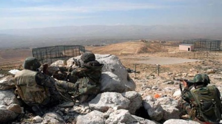 Suriya ordusunun əməliyyatında onlarla terroçu öldürülüb