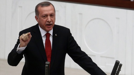 Erdogan:  Stojimo čvrsto nasuprot terorizmu