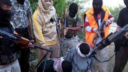 İraqın əl-Ənbar vilayətində onlarla sünnü edam edildi