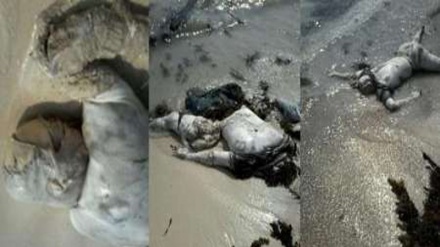 سعودی حملے میں  شہید ہونے والے یمنی ماہی گیروں کی لاشیں ساحل پر آگئیں