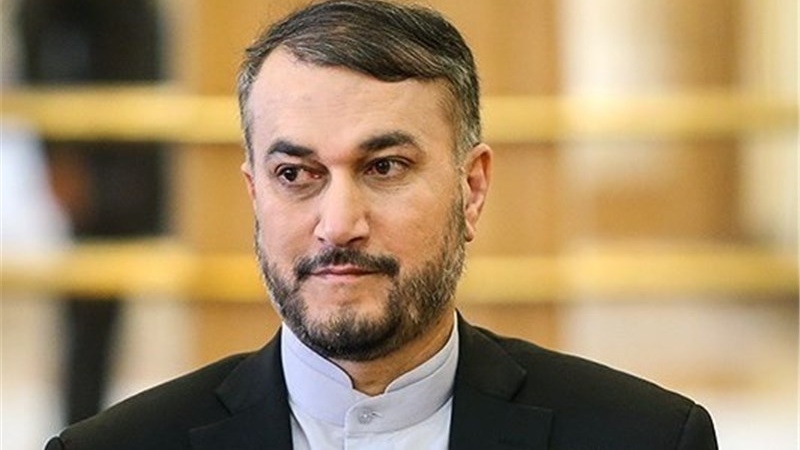 ایران کے نائب وزیر خارجہ حسین امیر عبداللہیان