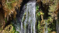 Avrêja Fedamî avrêjeka parêzgeha Farsê ye ku li şaristana Darabê di nuxteya herî dawîn a baûşrê rojhilata Farsê û li ser rêya Bender Ebasê bi cih bûye.