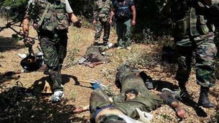 شامی فوج کا دہشت گردوں کے ایک قافلے پر حملہ، دسیوں دہشت گرد ہلاک