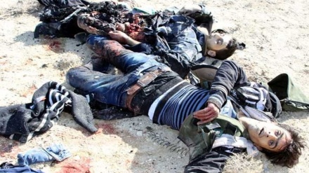 Terrorçular Suriyanın müxtəlif məntəqələrində böyük tələfat veriblər