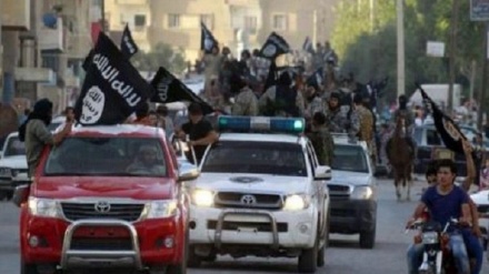 Objavljena imena prodavača vozila Toyote DAIŠ-u 