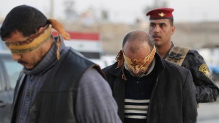 درجنوں دہشت گردوں نے عراق میں ہتھیار ڈال دیئے