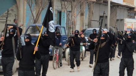 جمعیت علمائے عراق نے داعش کے خلاف دنیا کے مختلف ممالک کے تعاون کی ضرورت پر تاکید کی