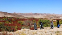 komkirina hilbirîna zirîskê