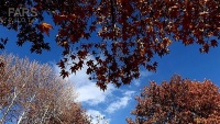  Xwezaya (Sirûşt) Payîzî li Hemedanê