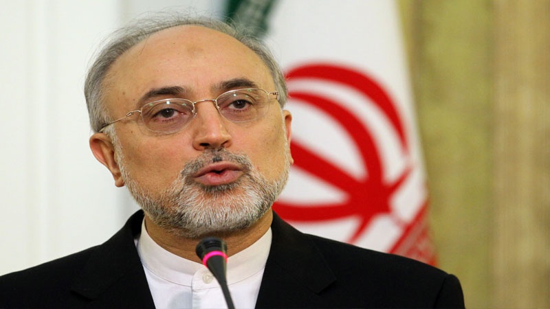 Salehi: Nüvə anlaşmasının icra mərhələsinə çatma addımlarını atmışıq