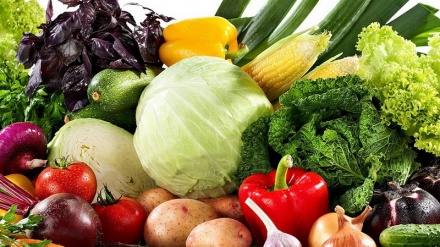 فێرکاری سازکردنی خۆراکی برووکلی