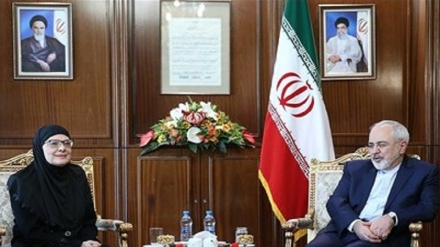ایران کے وزیر خارجہ اور صربیا کی پارلیمنٹ کے اسپیکر کی ملاقات 