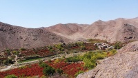 komkirina hilbirîna zirîskê