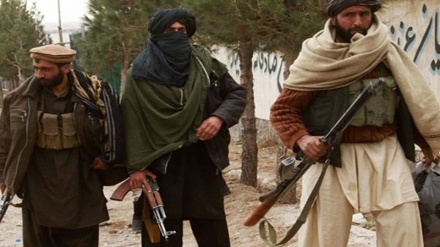 افغانستان: طالبان کا ایک سرغنہ گرفتار