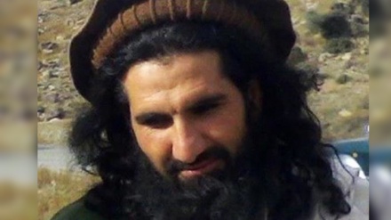 پاکستانی طالبان کے ایک دھڑے کا سرغنہ خان سید سجنا ہلاک