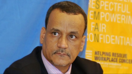 یمن امن مذاکرات آئندہ ہفتے شروع ہوں گے:  اسماعیل ولد شیخ احمد