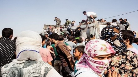 5000-dən çox Mosul sakini itkin düşüb