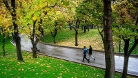 Jesenja kiša - Nacionalni park u Teheranu
