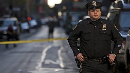 امریکا میں گن کلچر   