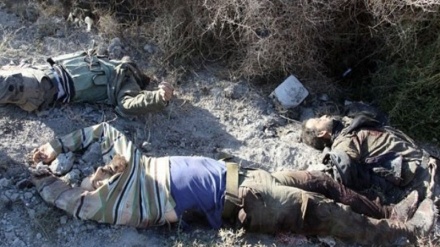 عراقی افواج کے ہاتھوں داعش کے چالیس دہشت گرد ہلاک 