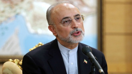 Salehi sanksiyaların bir aydan az bir müddətdə ləğv ediləcəyini deyib