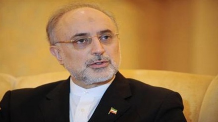 Salehi: İran nüvə işi qondarma idi