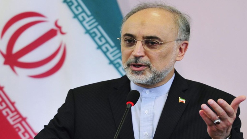 ایران کی جوہری توانائی کی تنظیم کے سربراہ علی اکبر صالحی