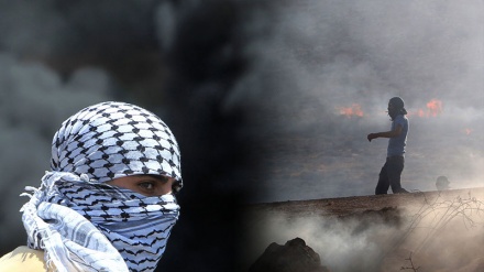 Nova palestinska Intifada, svakih 14 sati jedan šehid (08.12.2015)