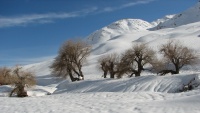 سروشتی جوانی زستانی ئێران