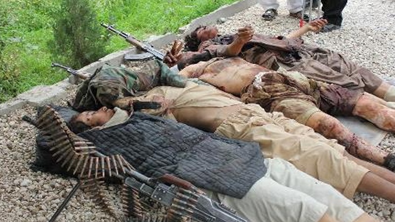 افغان فوج کی کاروائی، طالبان کے دسیوں افراد ہلاک و زخمی
