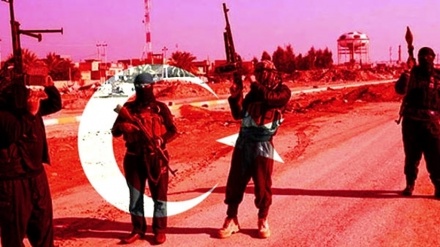 ترکی کے صدر کا داماد داعش گروہ سے تیل کی خرید و فروش میں ملوث 