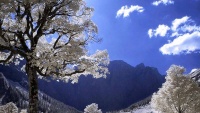 سروشتی جوانی زستانی ئێران