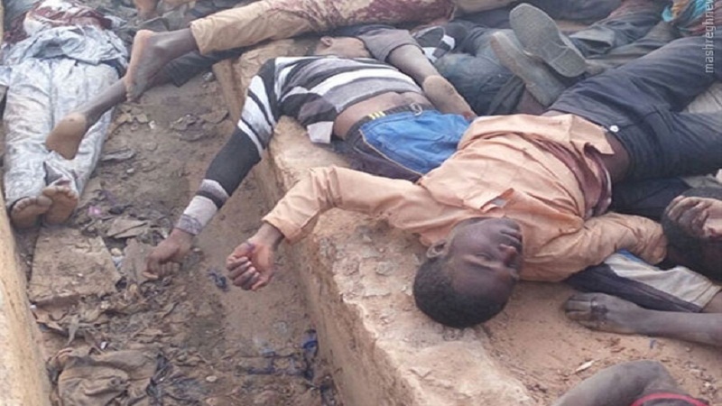 İmam Sadiq(ə) Universitetinin müəllim və tələbə heyəti Nardaran hadisələrinə etiraz olaraq piket keçirib