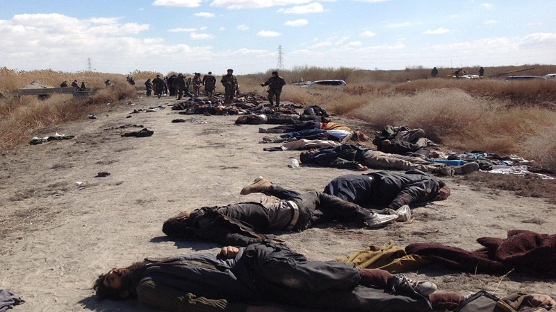 عراق کی فوج اور عوامی رضاکار فورس نے اتوار کے دن، الرمادی کے شمال میں دہشت گرد گروہ داعش کے دسیوں عناصر کو ہلاک کر دیا۔