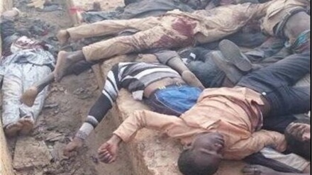 سعودی عرب اور اسرائیل نائیجیریا میں شیعہ مسلمانوں کے قتل عام کے اصل ذمہ دار ہیں: نائیجیریا کی طلبہ یونین