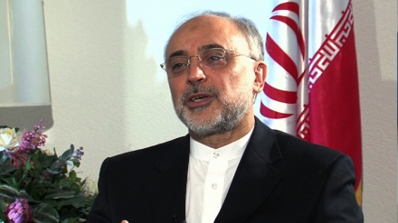 ایران مقابل فریق کی وعدہ خلافی پر ردعمل ظاہر کرے گا: علی اکبر صالحی