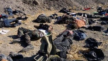 شام میں درجنوں دہشت گردوں کی ہلاکت