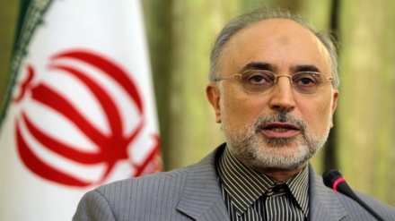 Salehi: Slučaj PMD je prošlost