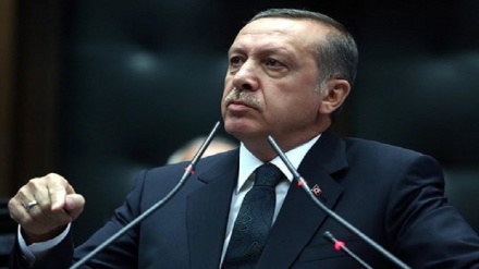 Ərdoğanın İŞİD ilə mübarizə üzrə şərti