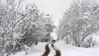 سروشتی جوانی زستانی ئێران