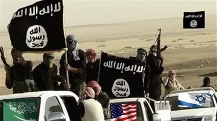 İŞİD Ədən valisinin terrorunda məsuliyyət daşıyır