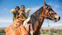 Festival narcisa u selu Džere, u pokrajini Fars