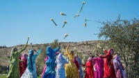 Festival narcisa u selu Džere, u pokrajini Fars