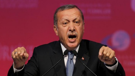 Türkiyə Milli Təhlükəsizlik Təşkilatının İŞİD-lə əməkdaşlıq sənədləri ifşa olunub