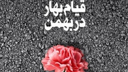 Qrafika