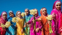 Festival narcisa u selu Džere, u pokrajini Fars